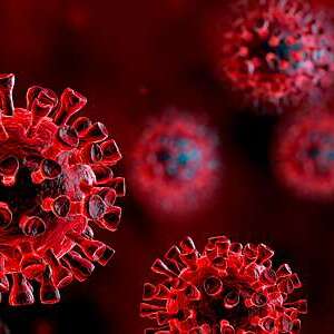 PionerProdukt / ПионерПродукт - Вирусологи оценили риск роста смертности от COVID-19 до 200 в сутки