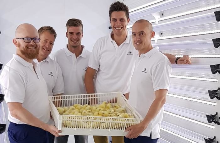 PioneerProduct is thinking about HatchCare