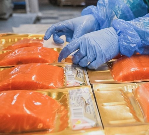 Fish farm near Moscow is preparing to sell the first batch of trout