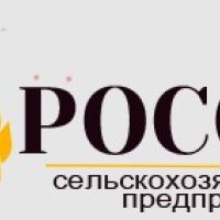 Информация ООО ПионерПродукт - <br />
<b>Warning</b>:  Undefined variable $info in <b>/var/www/h94127/data/www/pionerprodukt.by/modules/usd.pioner/process/company-info.php</b> on line <b>36</b><br />
<br />
<b>Warning</b>:  Trying to access array offset on null in <b>/var/www/h94127/data/www/pionerprodukt.by/modules/usd.pioner/process/company-info.php</b> on line <b>36</b><br />
<br />
<b>Deprecated</b>:  htmlspecialchars(): Passing null to parameter #1 ($string) of type string is deprecated in <b>/var/www/h94127/data/www/pionerprodukt.by/modules/usd.pioner/process/company-info.php</b> on line <b>36</b><br />
