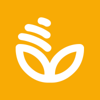 Информация ООО ПионерПродукт - <br />
<b>Warning</b>:  Undefined variable $info in <b>/var/www/h94127/data/www/pionerprodukt.by/modules/usd.pioner/process/company-info.php</b> on line <b>36</b><br />
<br />
<b>Warning</b>:  Trying to access array offset on null in <b>/var/www/h94127/data/www/pionerprodukt.by/modules/usd.pioner/process/company-info.php</b> on line <b>36</b><br />
<br />
<b>Deprecated</b>:  htmlspecialchars(): Passing null to parameter #1 ($string) of type string is deprecated in <b>/var/www/h94127/data/www/pionerprodukt.by/modules/usd.pioner/process/company-info.php</b> on line <b>36</b><br />
