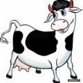 ООО ПионерПродукт - Молочные Предприятия России / Milk Plants of Russia - Ферма «Платоша»