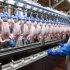 Belarus and Russia ensure food security of the Union State on a parity basis