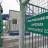 Grodno forensic experts found marijuana in tea imported to Belarus