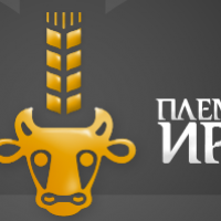 Информация ООО ПионерПродукт - 