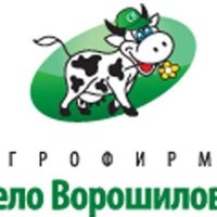Информация ООО ПионерПродукт - <br />
<b>Warning</b>:  Undefined variable $info in <b>/var/www/h94127/data/www/pionerprodukt.by/modules/usd.pioner/process/company-info.php</b> on line <b>36</b><br />
<br />
<b>Warning</b>:  Trying to access array offset on null in <b>/var/www/h94127/data/www/pionerprodukt.by/modules/usd.pioner/process/company-info.php</b> on line <b>36</b><br />
<br />
<b>Deprecated</b>:  htmlspecialchars(): Passing null to parameter #1 ($string) of type string is deprecated in <b>/var/www/h94127/data/www/pionerprodukt.by/modules/usd.pioner/process/company-info.php</b> on line <b>36</b><br />
