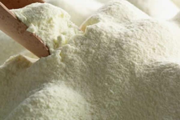 Belarus plans to supply 10 thousand tons of milk powder to Venezuela