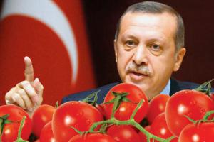 Россия вновь заподозрила Беларусь в реэкспорте турецких помидоров